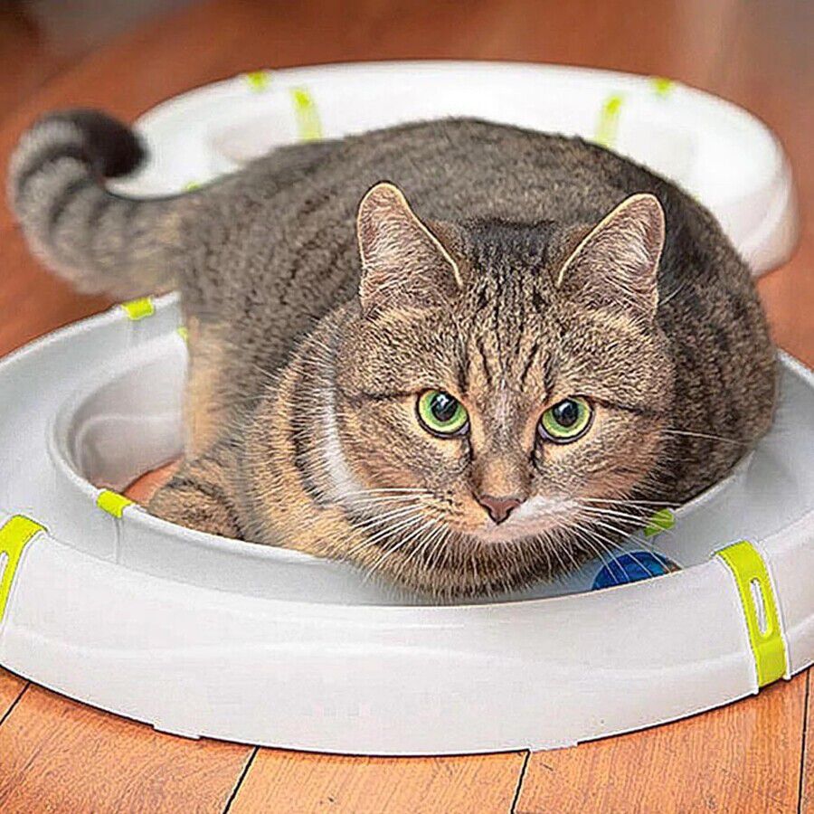 Ferplast Typhon Juguete Ineractivo con Pelota para gatos, , large Imagen numero 5